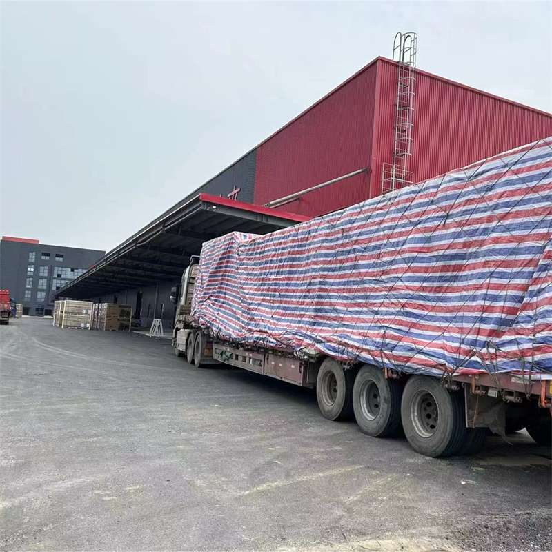 涵江区渝中区物流：多元服务与运输线路探秘